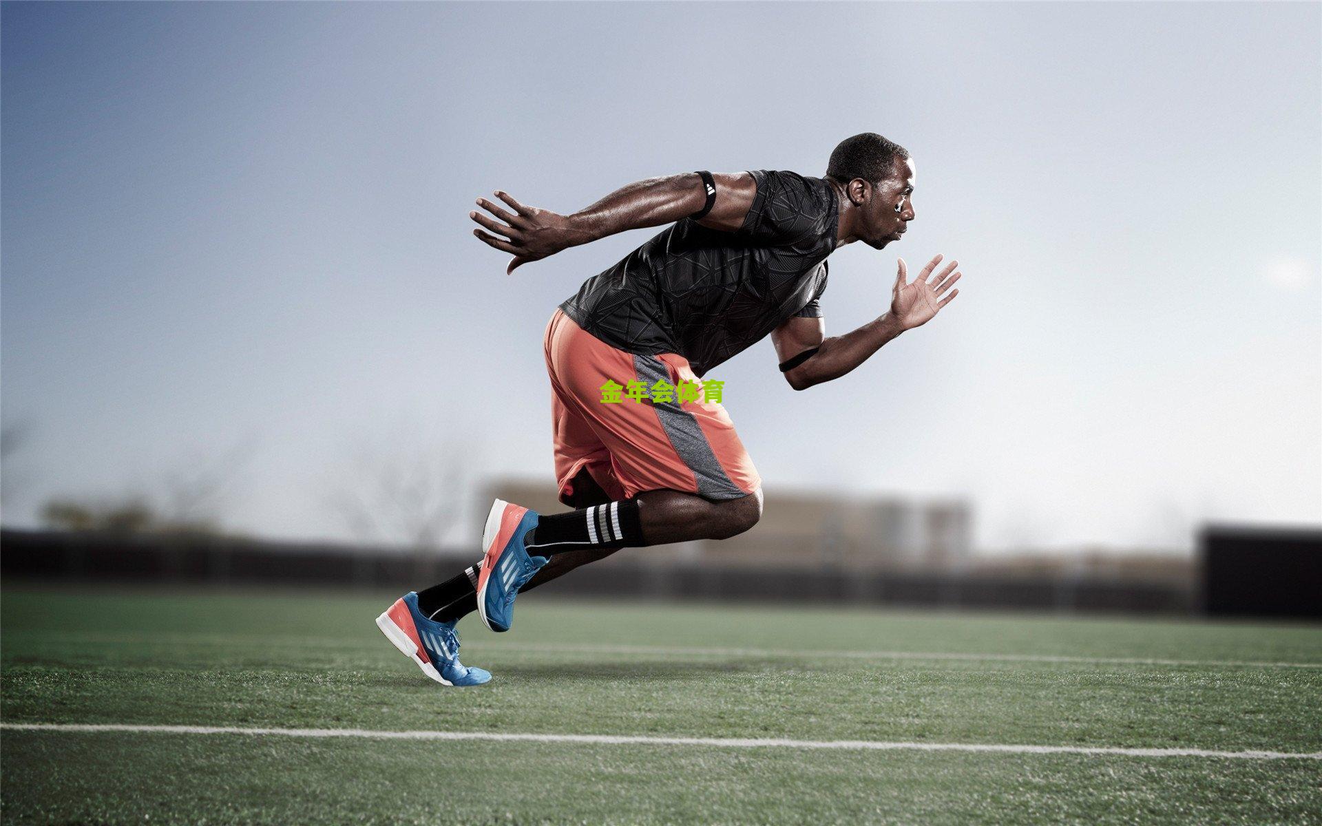 赛季价值之巅，深入剖析本季最具战略眼光的球员签约