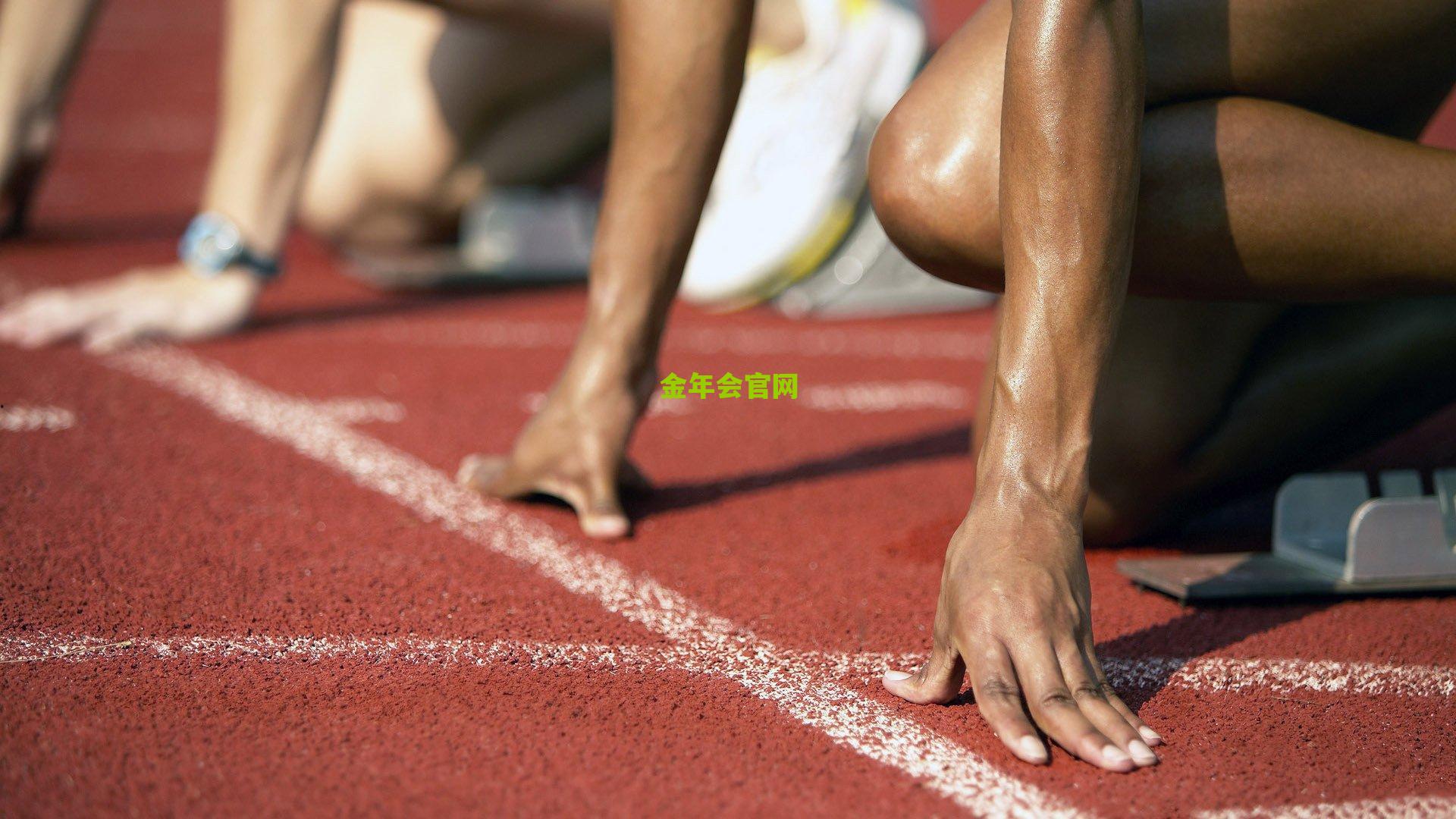 台篮野兽赛后致歉，对辽宁队不当行为是错误示范，愿承担所有责任